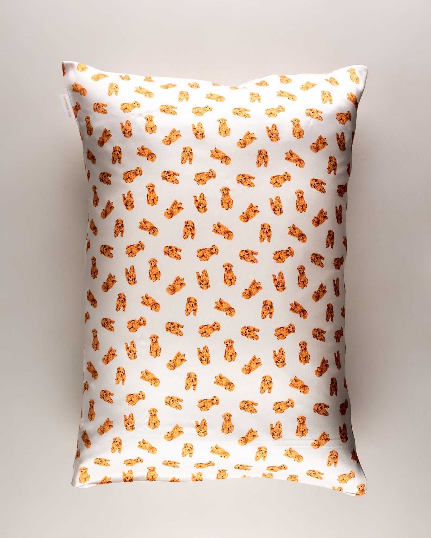 Savannah Silk Gavesett Cockapoo R6__0984-Edit